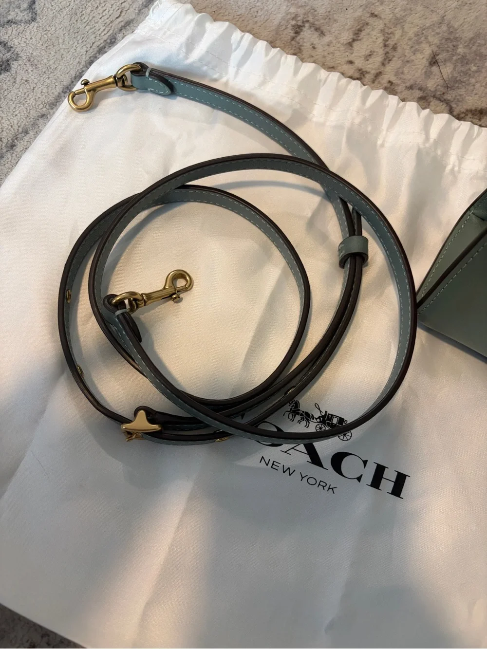 Coach Mini Top Handle Bag in Sage